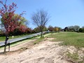 鴻ノ巣山運動公園(城陽市総合運動公園) ローラー滑り台
