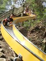 京都府立山城総合運動公園(太陽が丘) ローラー滑り台