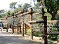 京都府立山城総合運動公園(太陽が丘) アスレチック