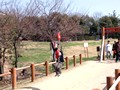 京都府立山城総合運動公園(太陽が丘) 芝生広場