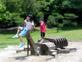 京都府立 山城総合運動公園 カブトムシ遊具
