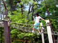 京都府立 山城総合運動公園 アスレチック