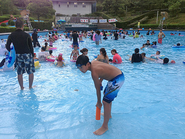 太陽が丘プールブログ