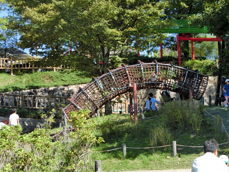 竹取公園 冒険の森 遊具