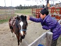 滋賀農業公園ブルーメの丘