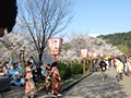 京都 花見 祇園四条駅 円山公園 八坂神社 知恩院