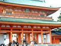 京都 花見 平安神宮