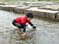 滋賀県 希望が丘公園