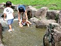 希鴻ノ巣山運動公園(城陽市総合運動公園) 水遊び