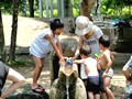 梅小路公園の川で水遊び