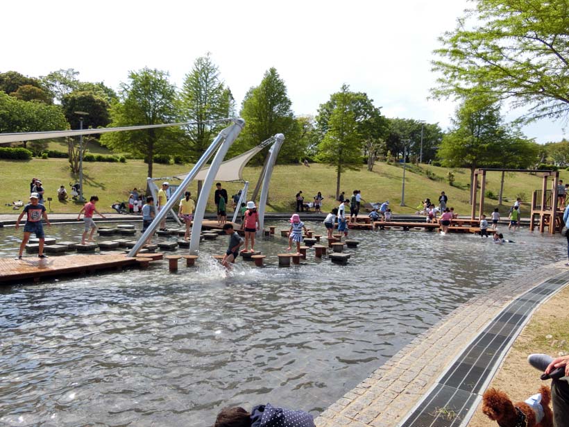 淡路島公園 水遊び