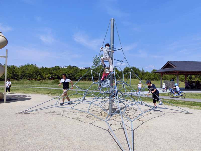 びわこ地球市民の森 大型アスレチック遊具  壁上り