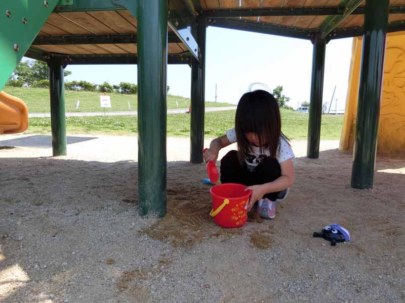 びわこ地球市民の森 大型アスレチック遊具  壁上り