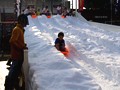 今宮戎神社 今宮こどもえびす祭 雪 そり遊び