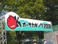 オーサカキング2008(オーサカキンギョ)