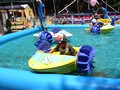 オーサカキング2008(オーサカキンギョ) 水遊び