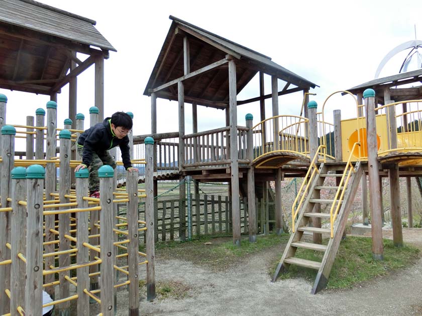 グリーンパーク山東 天狗の丘 大型遊具