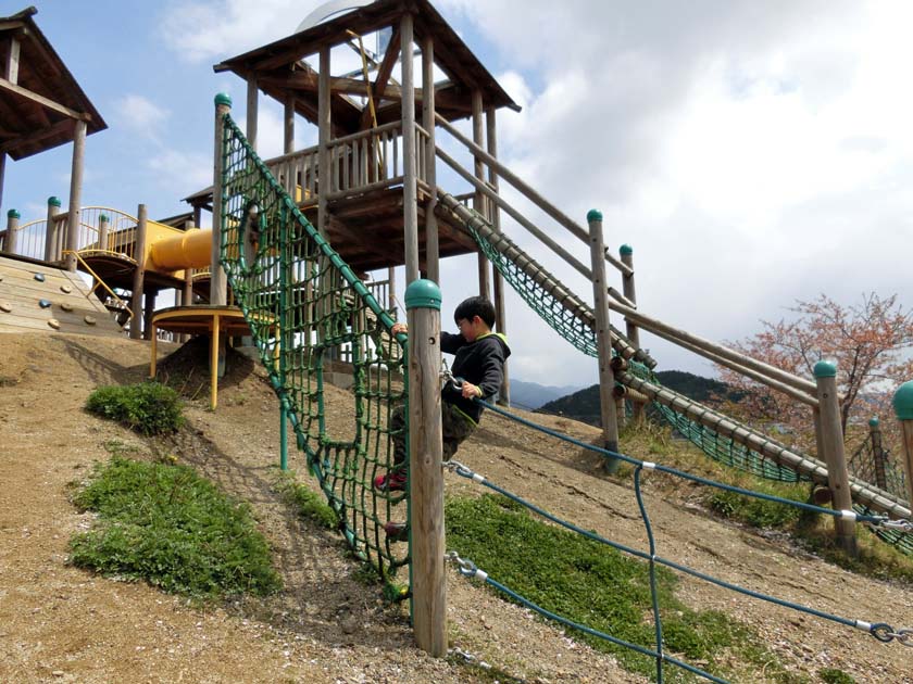 グリーンパーク山東 天狗の丘 大型遊具