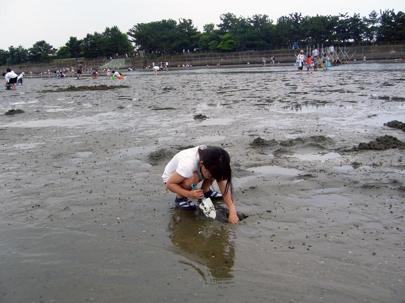 潮干狩り 片男波