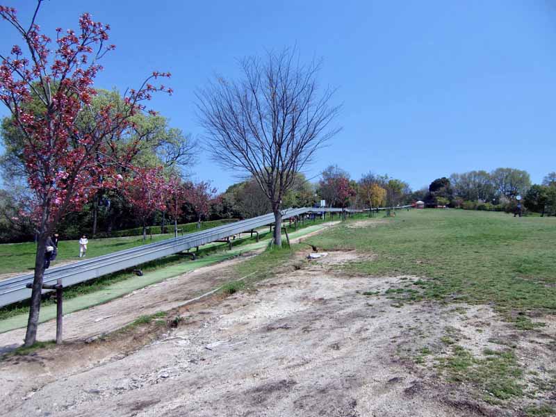 鴻ノ巣山公園(城陽市総合運動公園) ロングローラースライダー 