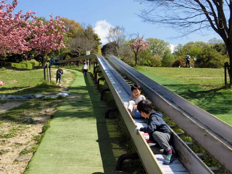 鴻巣山運動公園(城陽市総合運動公園) ロングローラースライダー 