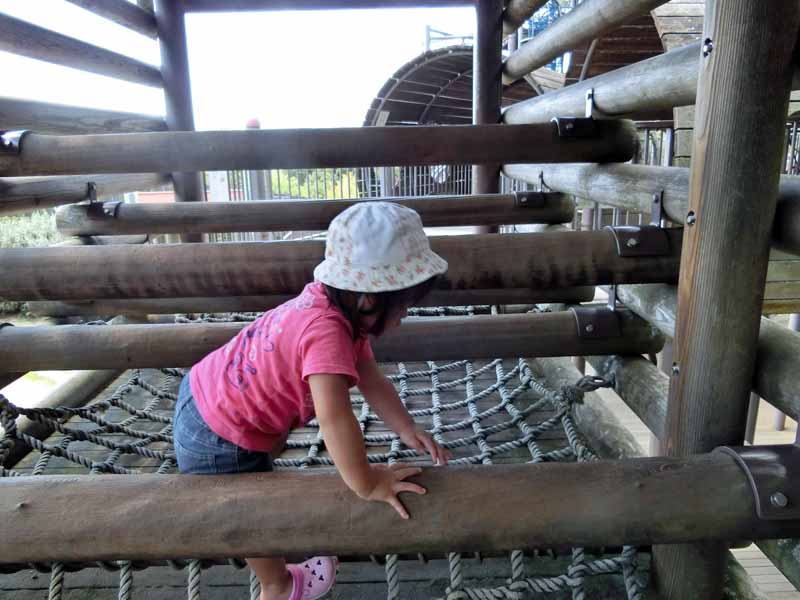 鴻ノ巣山公園(城陽市総合運動公園) アスレチック遊具 