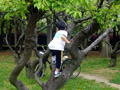 長居公園 木登り