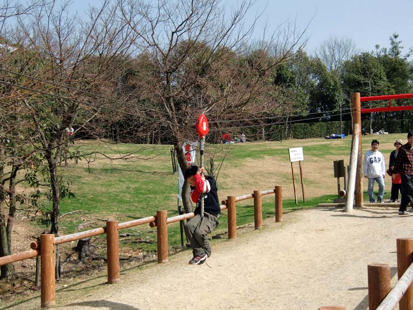 京都府立山城総合運動公園(太陽が丘) アスレチック ターザンロープ