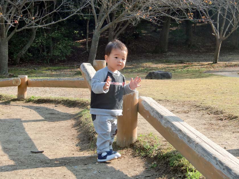 京都府立山城総合運動公園(太陽が丘) ロープとネットのアスレチック施設