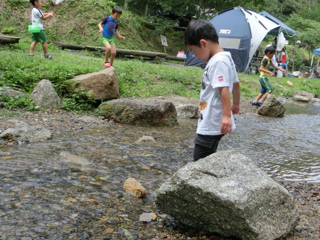 山城森林公園 川遊び 水遊び 沢蟹