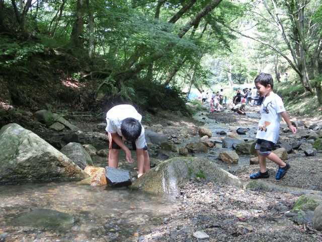 山城森林公園 川遊び 水遊び バーベキュー