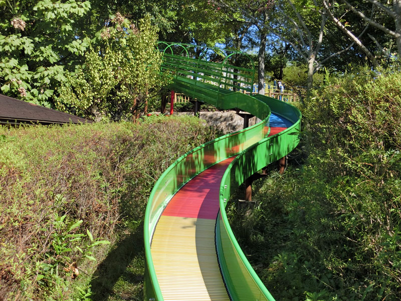 竹取公園 冒険の森 遊具 ローラー滑り台