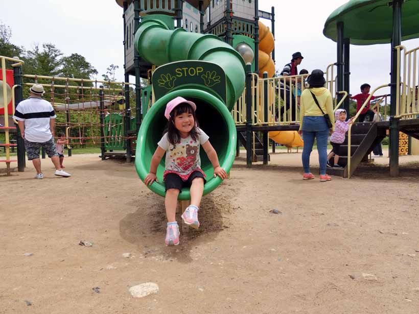 丹波自然公園 大型遊具