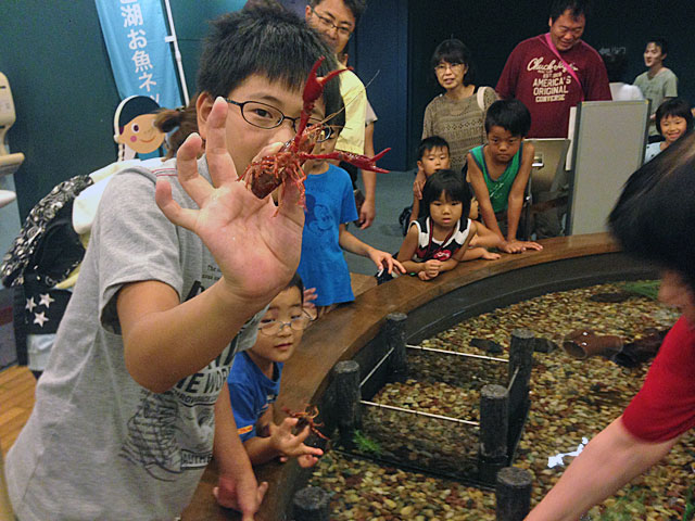 琵琶湖博物館 水族館