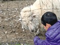滋賀農業公園ブルーメの丘 乗馬体験