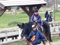 滋賀農業公園ブルーメの丘 乗馬体験