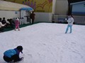 ひらパー アイススケート