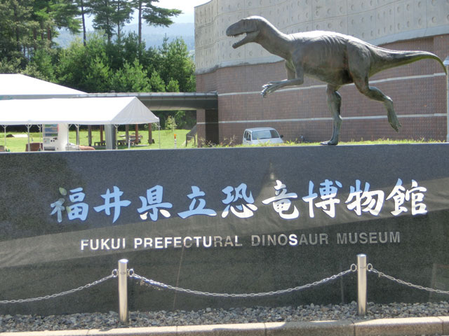 福井 恐竜博物館 混雑