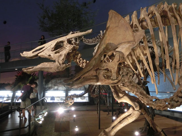 福井 恐竜博物館 所要時間