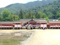 厳島神社 大鳥居