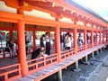 厳島神社 大鳥居