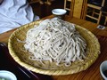 戸隠そば博物館 とんくるりん 長野県 そばうち