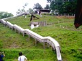 戸隠そば博物館 とんくるりん 長野県 そばうち