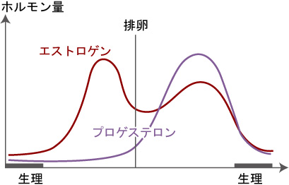 基礎体温とホルモン