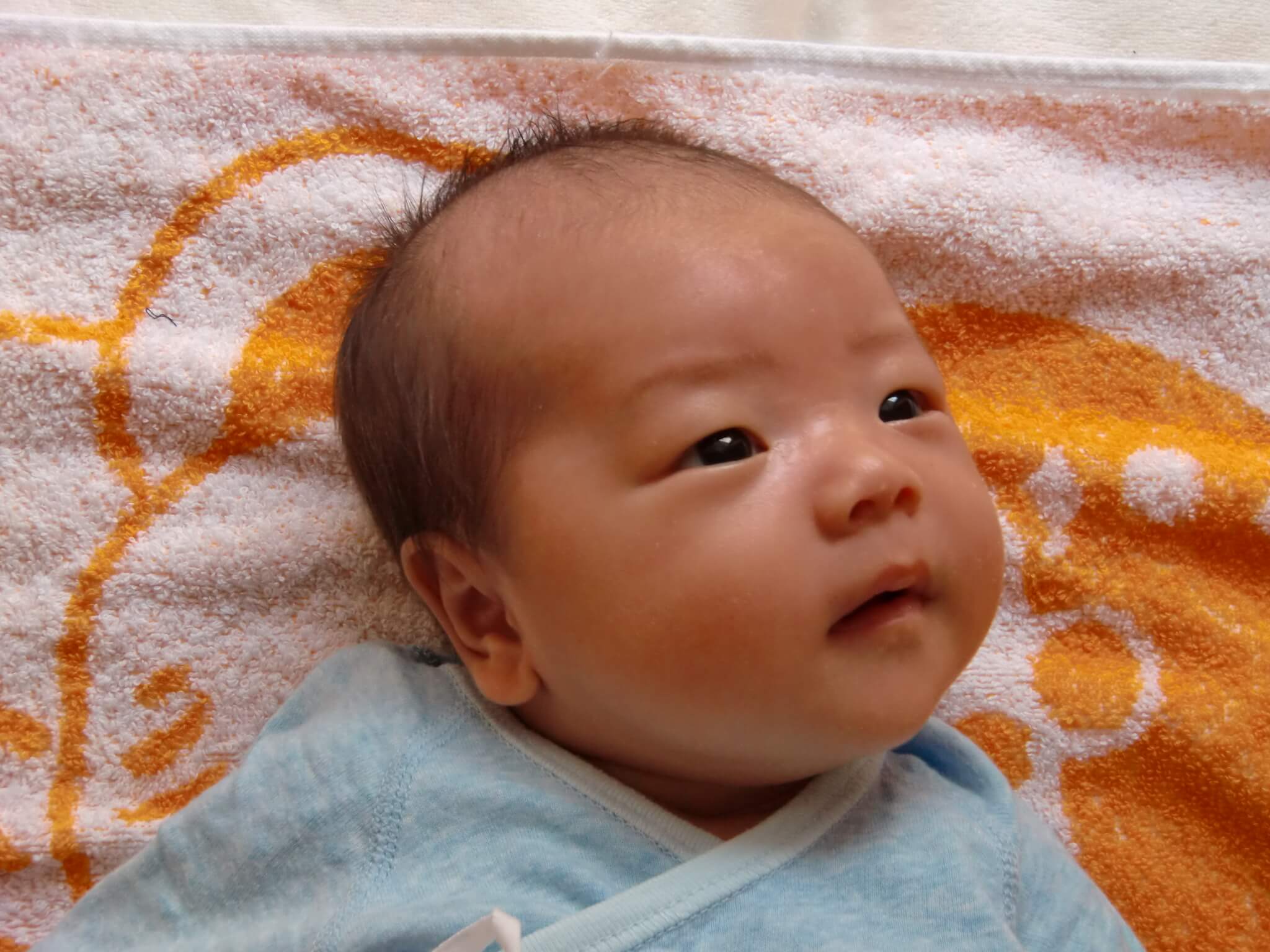 生後1ヶ月 1ヶ月検診 おやこ 生後1ヶ月 1ヶ月検診 おやこ